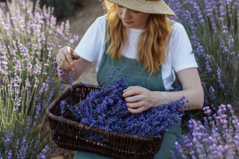 lavanda receta agua micelar
